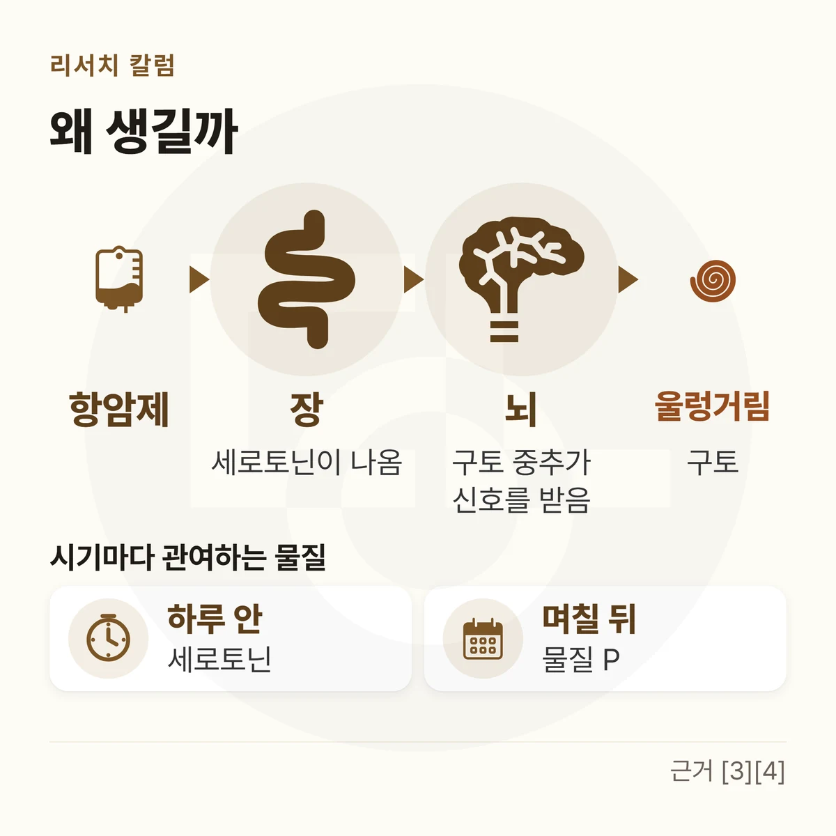 항암제에서 장(세로토닌이 나옴)과 뇌(구토 중추가 신호를 받음)를 거쳐 울렁거림·구토로 이어지는 흐름, 아래에 시기마다 관여하는 물질(하루 안 · 세로토닌 / 며칠 뒤 · 물질 P)