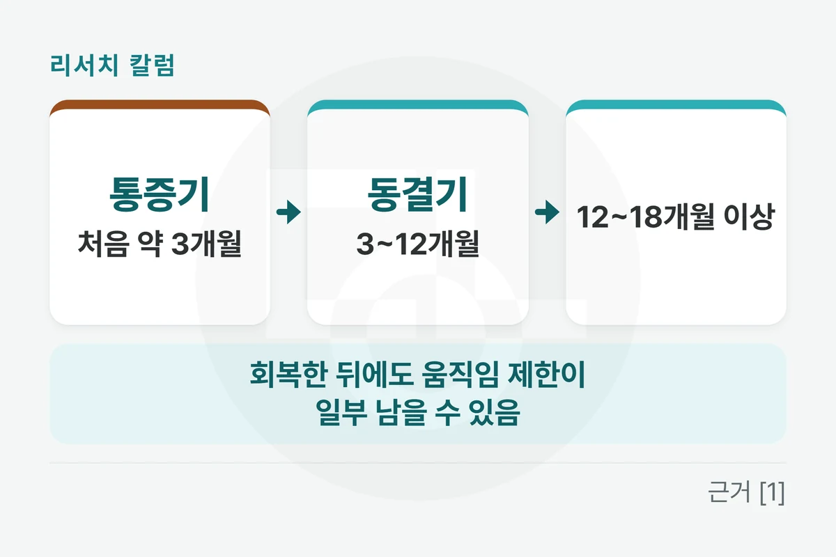 왼쪽에서 오른쪽으로 흐르는 세 칸 — 「통증기 · 처음 약 3개월」 → 「동결기 · 3~12개월」 → 「12~18개월 이상」, 아래 띠에 「회복한 뒤에도 움직임 제한이 일부 남을 수 있음」을 적은 그림
