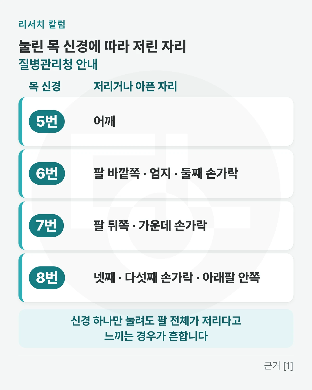 위에 「눌린 목 신경에 따라 저린 자리 · 질병관리청 안내」, 두 칸 표 「목 신경 · 저리거나 아픈 자리」 — 「목 5번 신경: 어깨」 「목 6번 신경: 팔 바깥쪽 · 엄지 · 둘째 손가락」 「목 7번 신경: 팔 뒤쪽 · 가운데 손가락」 「목 8번 신경: 넷째 · 다섯째 손가락 · 아래팔 안쪽」, 아래 띠에 「신경 하나만 눌려도 팔 전체가 저리다고 느끼는 경우가 흔합니다」를 적은 그림