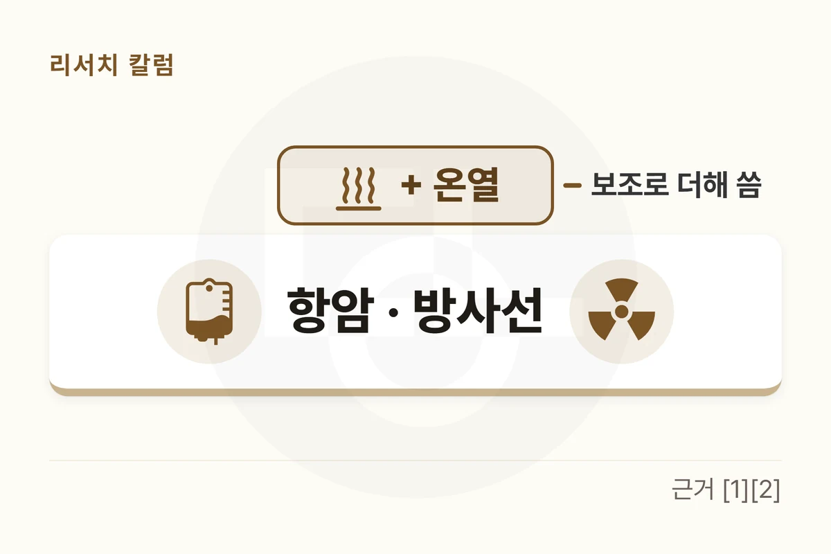 넓은 받침 「항암 · 방사선」 위에 얇은 층 「+ 온열」을 얹고, 옆에 「보조로 더해 씀」을 적은 그림