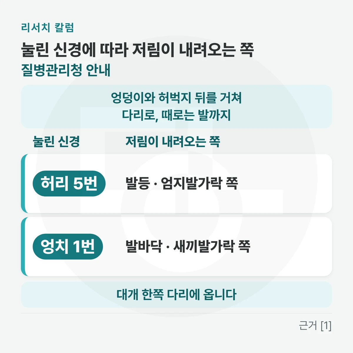 위에 「눌린 신경에 따라 저림이 내려오는 쪽 · 질병관리청 안내」, 띠 「엉덩이와 허벅지 뒤를 거쳐 다리로, 때로는 발까지」, 두 칸 표 「눌린 신경 · 저림이 내려오는 쪽」 — 「허리 5번 신경: 발등 · 엄지발가락 쪽」 「엉치 1번 신경: 발바닥 · 새끼발가락 쪽」, 아래 띠에 「대개 한쪽 다리에 옵니다」를 적은 그림