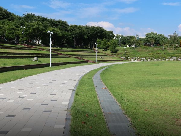 잔디밭 사이로 굽은 공원 산책로
